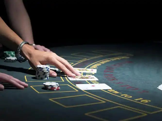 congtogwl platform dashboard showing slot tournaments, live-dealer studios, and sportsbook sections